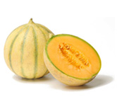 Melons from Cantalupo 