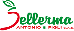 logo Dellerma