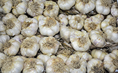 aglio bianco