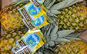 ananas chiquita