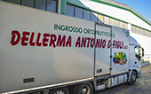 camion