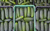 cetrioli