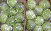 insalata iceberg