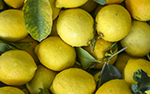 limoni