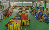 pano interno dell'ingrosso