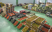 verdure varie